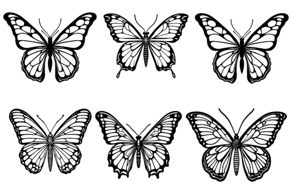 Butterfly Vector Illustrations Design: Your Coastal Escape