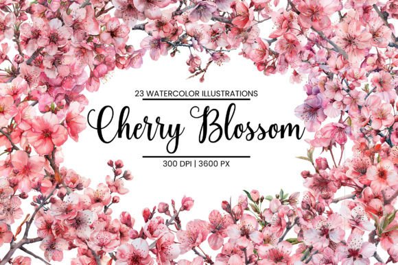 Embrace Spring's Charm: Watercolor Cherry Blossom Illustrations