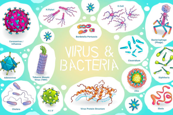 Practical Virus Bacteria Vector Illustrations for Designers