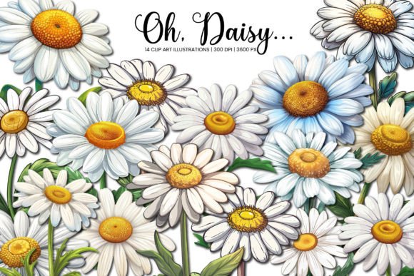 Spring and Summer in a Clip: Daisy Flower Illustrations for Every Project