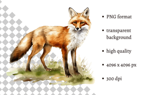 Watercolor Fox Illustrations: A Designer's Guide to Whimsical Charm