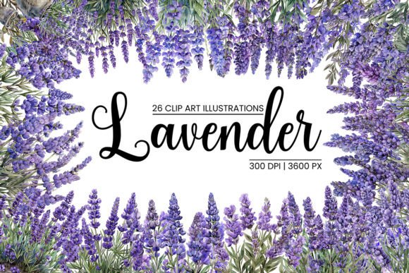 Watercolor Lavender Illustrations: A Designer's Field Guide