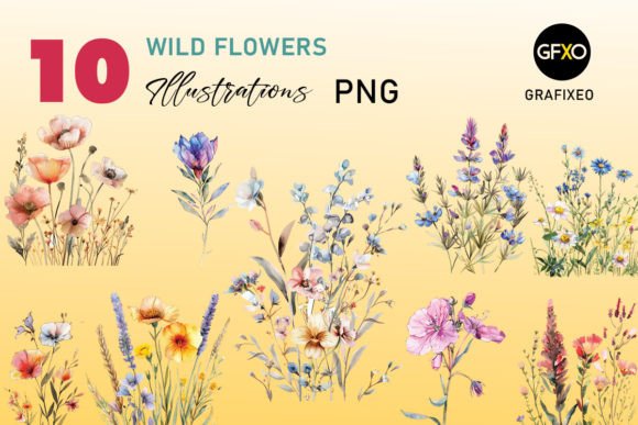 Wild Flowers Watercolor Illustrations: A Fresh Take on Floral Design Assets